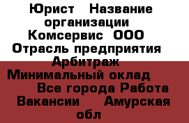 Юрист › Название организации ­ Комсервис, ООО › Отрасль предприятия ­ Арбитраж › Минимальный оклад ­ 25 000 - Все города Работа » Вакансии   . Амурская обл.